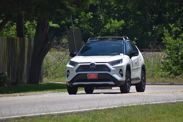 toyota rav 4, hybrid, crossover